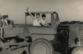 Mut und Anmut